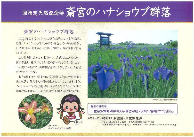 ハナショウブチラシ表