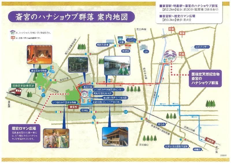 ハナショウブチラシ裏