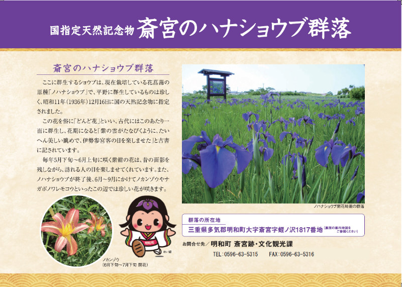 ハナショウブチラシ表