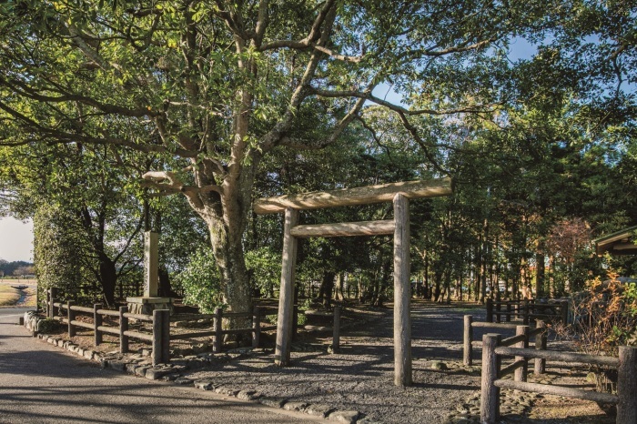 木々に囲まれた敷地の入り口に小さな鳥居が立っている写真