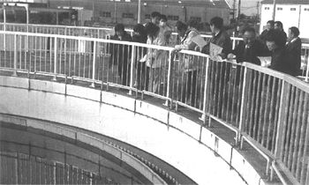 柵の外側から下の浄化センターをのぞき込んで見学している視察委員の写真