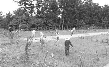 芝刈り機で広場の草を刈っている作業員の写真