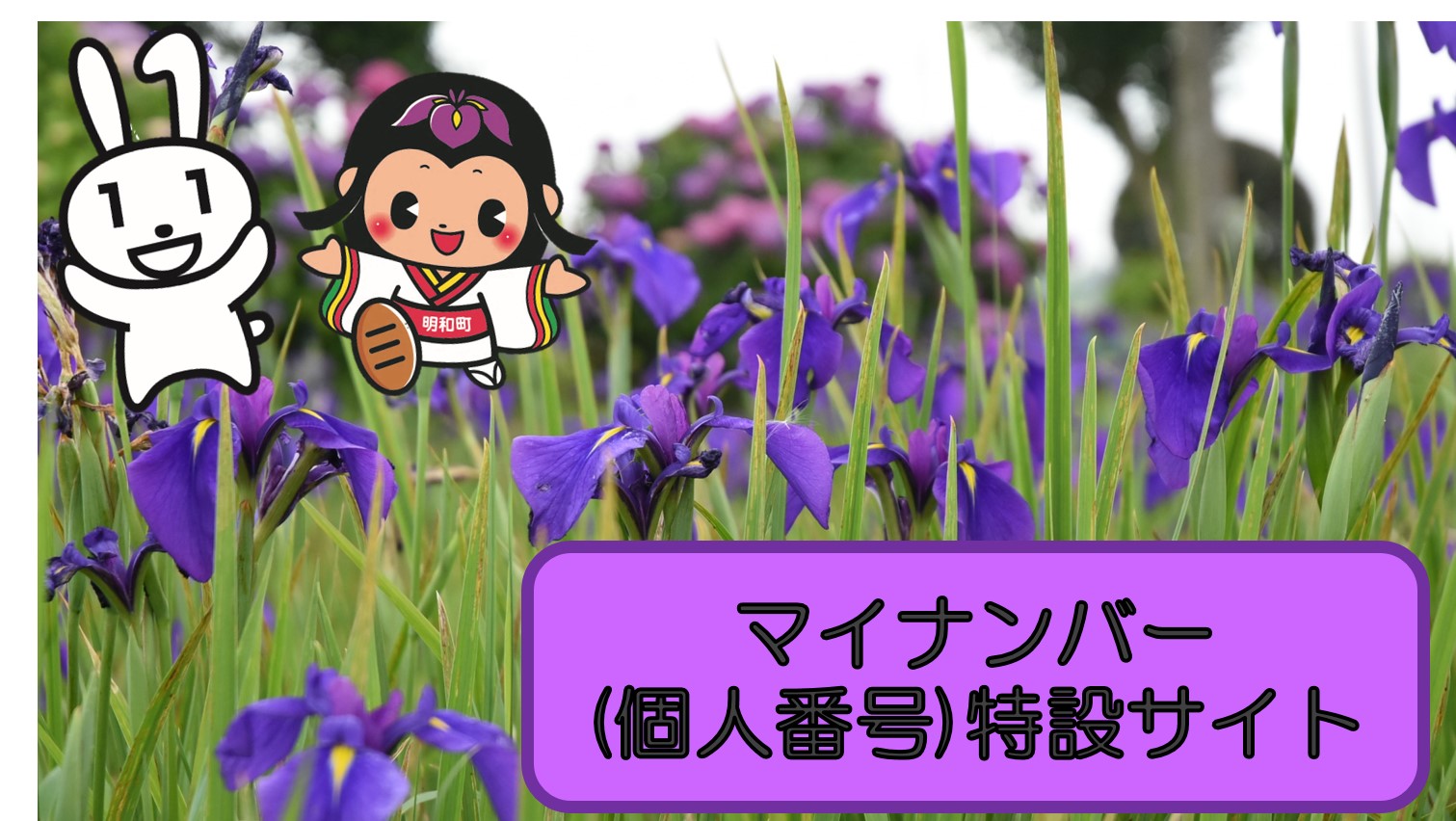 マイナンバーカード特設サイト