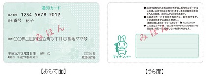 通知カードのおもて面・うら面のみほん