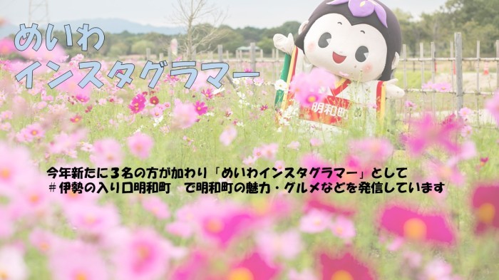 めいわインスタグラマー「今年新たに3名の方が加わり「めいわインスタグラマー」として＃伊勢の入り口明和町で明和町の魅力・グルメなどを発信しています」コスモス畑でめい姫が両手を広げている写真