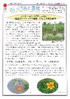 さいくうあと通信32号