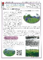 さいくうあと通信34号