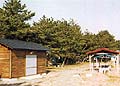 木々が立ち並んだ左側に小さな小屋がある大淀海水浴場キャンプ場の写真