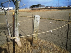 周囲を田畑に囲まれた位置に建つ佐々夫江行宮跡の小さな石碑の写真