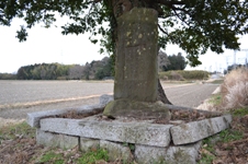 周囲を畑に囲まれた場所に根本を長方形の石で囲った1本の大きな木が立つ写真