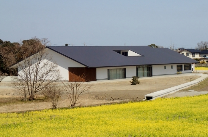 黄色の菜の花が咲いている奥に建つ白壁で黒色の三角屋根、横長の造りをしたいつきのみや地域交流センターの建物外観の写真