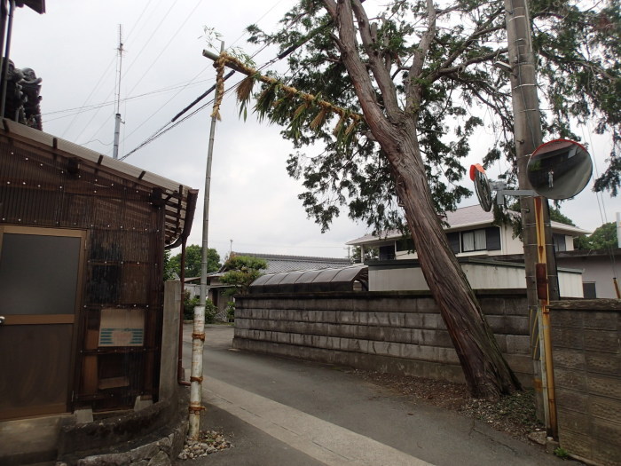 細い道沿いに斜めに立つ樹木に巻き付けられた注連縄の写真