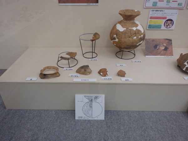 展示台の上に発掘された壺や欠片などが並んでいる写真