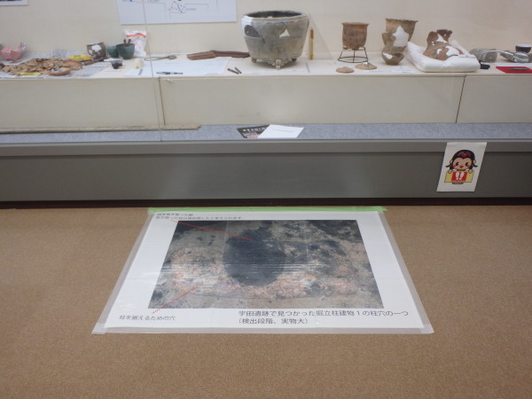 展示台の下の床に宇田遺跡で見つかった柱穴の実物大の写真が貼られている写真