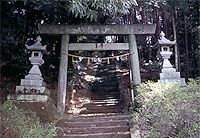 木々が鬱蒼と生い茂った階段の手前に鳥居が設置されている高宮神社の入り口の写真