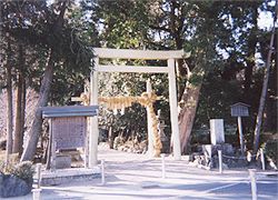 樹木の間に立つ神山神社の鳥居の写真