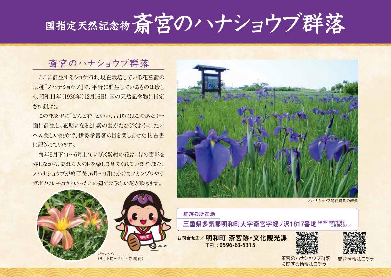 斎宮のハナショウブ群落チラシ（表）