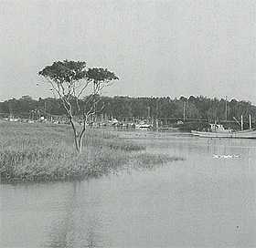 左手前の岸に1本の木が生えている奥の船着場に漁船が並んでいる白黒写真