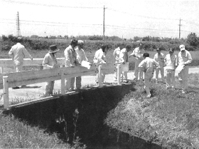 橋の上に立って用水路の状況を調査している視察委員の写真