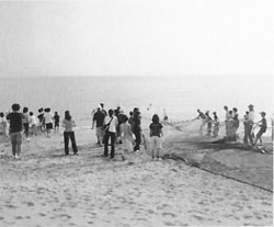 浜辺で地引き網体験をしている大淀キャンプ参加者の写真