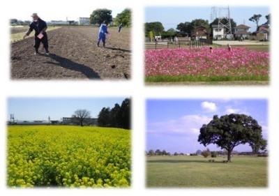 左上：大きな畑に立つ3名の人が種を巻いている写真、右上：2名の人がピンク色の花が一面に咲いている畑の中に入っている写真、左下：黄色の菜の花が一面に咲いている写真、右下：広大な芝生広場に1本の大きな木が立っている写真