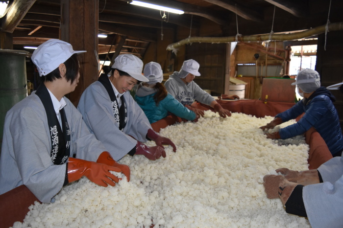 酒米の沢山入った腰の高さまである四角い箱の作業台を囲むように、工場の方々と参加者学生の皆さんが手袋をした手で、仕込みを行っている様子の写真