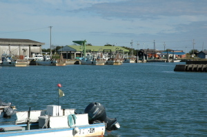 岸壁に漁船が停泊している大淀漁港の写真